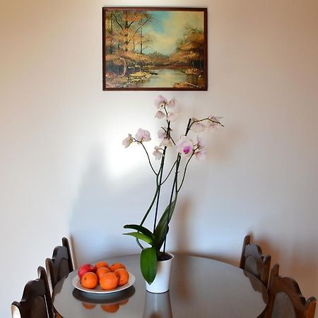 Apartment Matea Petrovac Dış mekan fotoğraf
