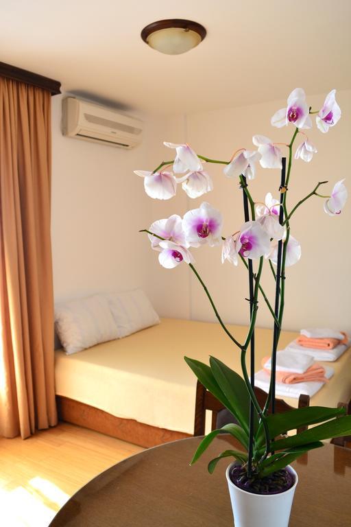 Apartment Matea Petrovac Dış mekan fotoğraf